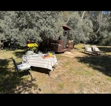 Saint-Rémy-de-Provence Roulotte / Tiny House Dans Les Alpilles酒店 外观 照片